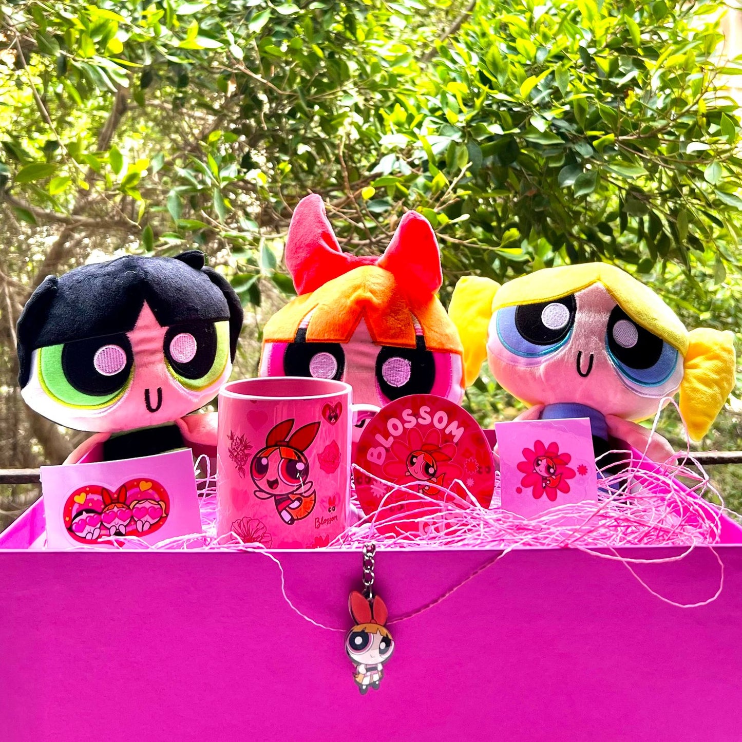 Blossom & The Squad: The Ultimate Collector’s Box