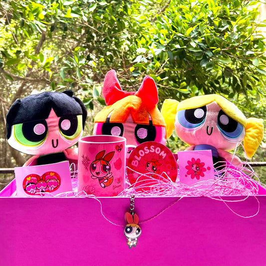 Blossom & The Squad: The Ultimate Collector’s Box